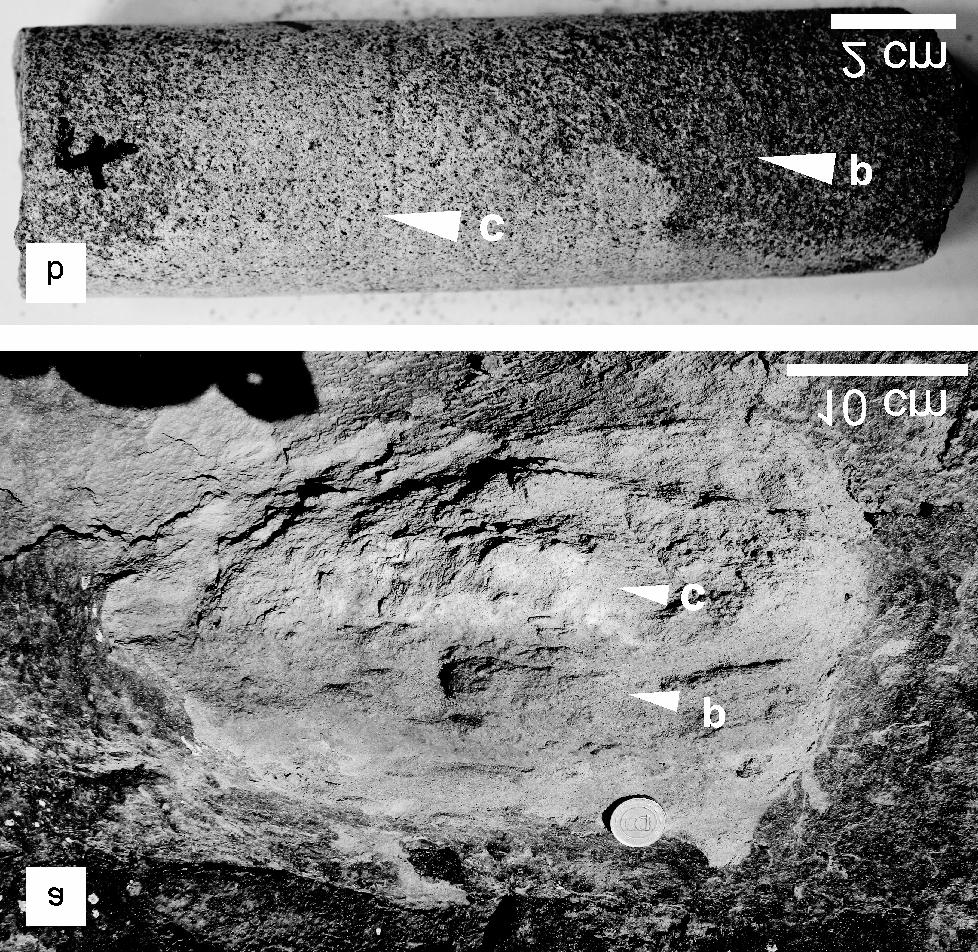 A nyilak mintavételi pontokat jelölnek Figure 1. a) Areal distribution of the Pétervására Sandstone (after SZTANÓ 1994). The studied outcrop is marked with red.