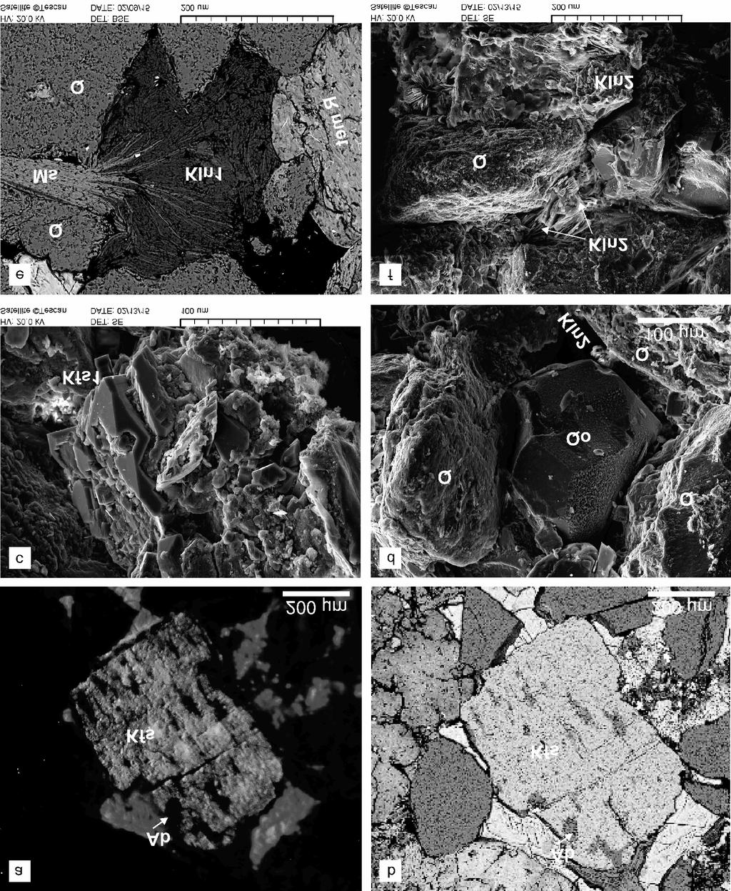 SZŐCS Emese et al.: A kora-miocén Pétervásárai Homokkő diagenezis-története 358 5. ábra.