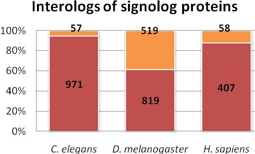 b-c) A szignalóg és az interológ (ortológ kapcsolat) adatok összehasonlítása