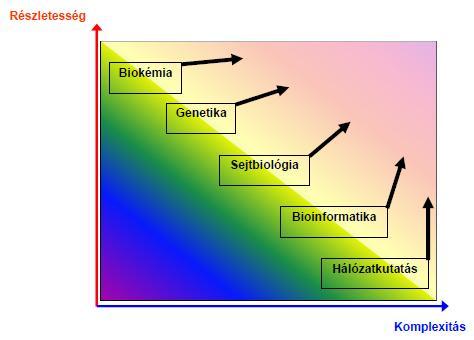 1. ábra A jelátvitelt vizsgáló megközelítések összehasonlító skálája. Az ábrán a részletesség és a komplexitás függvényében látható a jelátvitel vizsgálatában központi szerepet betöltő öt diszciplína.