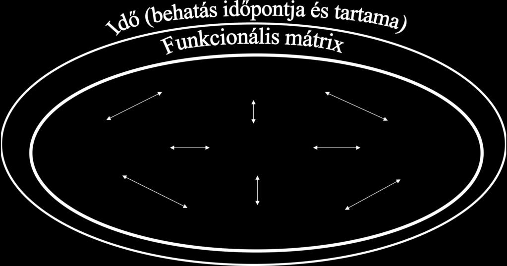 A koponya fejlődése Chondralis matrix Neurocranium Koponyaalap