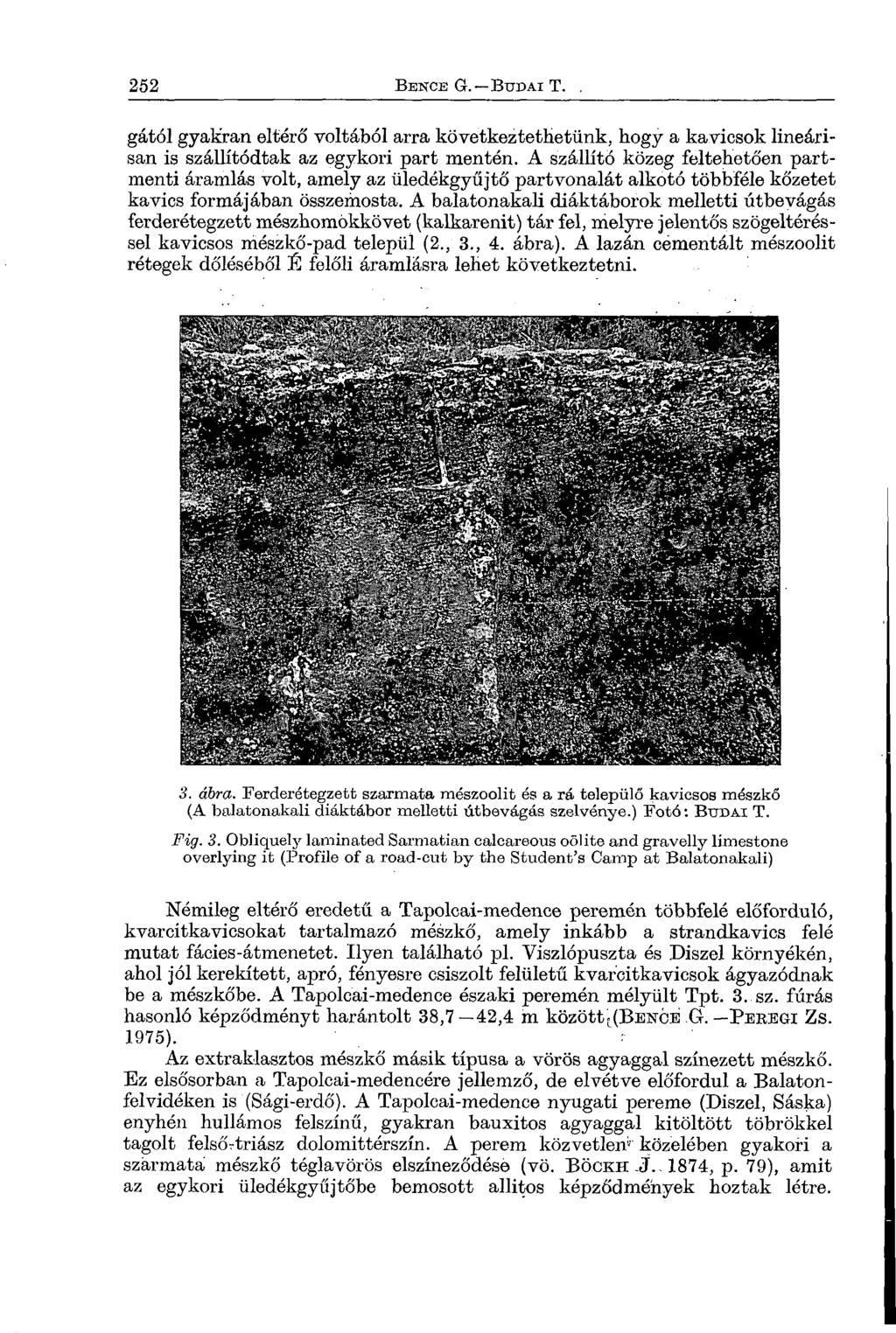 gától gyakran eltérő voltából arra következtethetünk, hogy a kavicsok lineárisan is szállítódtak az egykori part mentén.