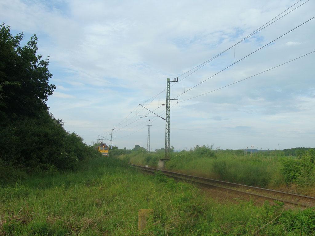 A szükséges csökkentett rálátási háromszögek közül három a növényzet miatt a baleset idején nem volt szabad.