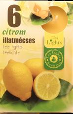 TEAMÉCSES 6 db-os, többféle illatban