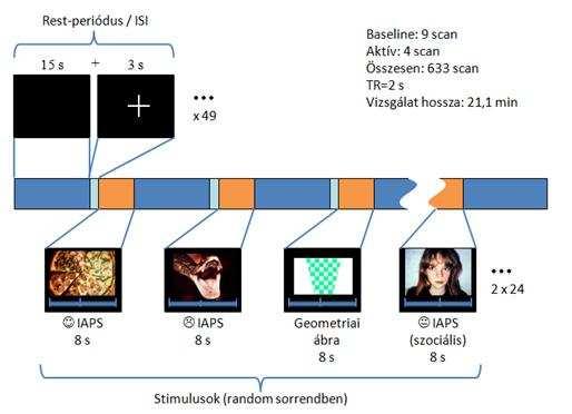 paradigmában felváltva szerepeltek aktív és baseline szakaszok, ahol a különböző vizuális ingereket (képeket és geometriai ábrákat) megjelenítő kísérleti szakaszok random módon követték egymást.