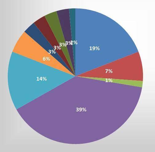 9% Zöld: A közösség összetartása 0.9% Sötétlila: Autó birtoklása 0.9% Türkiz: Nyaralási lehetőség 1.8% Sötét narancssárga: Kielégítő kereset 1.8% Világoskék: Vagyon 0.