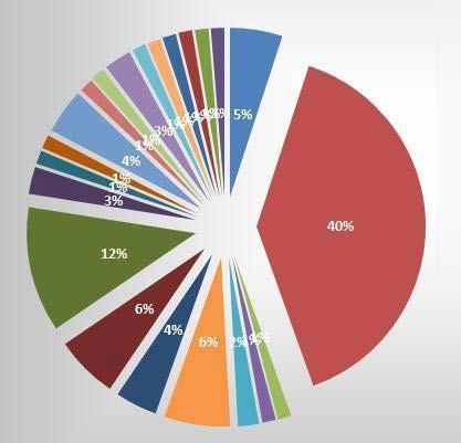 A külföldi foglalkoztatás előnyei Kék: Karrierépítés 5% Piros: Magasabb kereset 39.5% Zöld: Nagyobb befolyás 1.3% Lila: Kiegyensúlyozott életmód 1.
