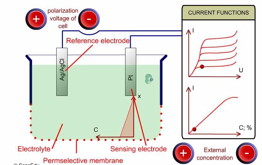 MÁGNESES MAGREZONANCIA A proton-(nukleáris-) precessziós magnetométer a legelterjedtebb skaláris teret mérı eszköz.