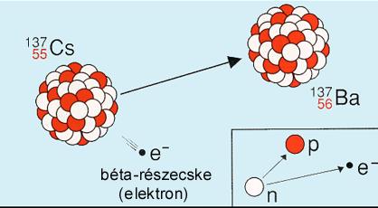 β-bomlás» β-sugárzás Negatív β-bomlás Kísérlet: Curie 1911 Elmélet: Enrico Fermi, 1934 0 + n p + e + ν e A Z X A Z +1 X + e +