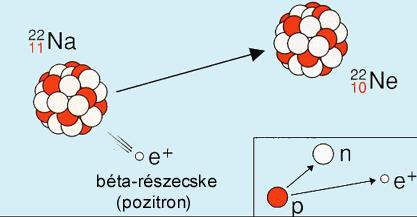 β-bomlás» β-sugárzás Pozitív β-bomlás + 0 + p n + e + ν e A Z X A Z 1 X + e + + ν e 22 11 22 + Na