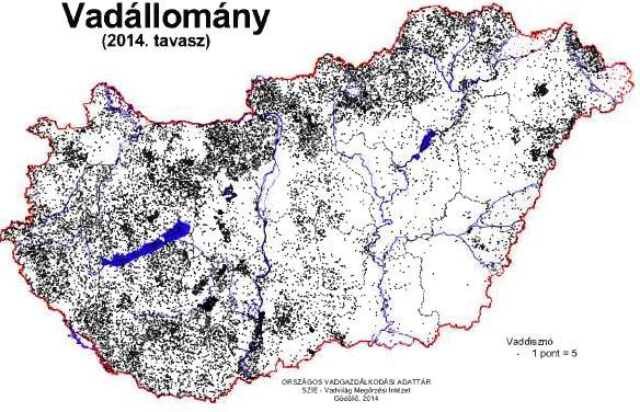 Nagyvadgazdálkodás SzTE MGK Dr. Majzinger István 6.5. Gazdálkodás a vaddisznóval 6.5.1. Hazai elterjedése, dinamikája, hasznosítása: 51.