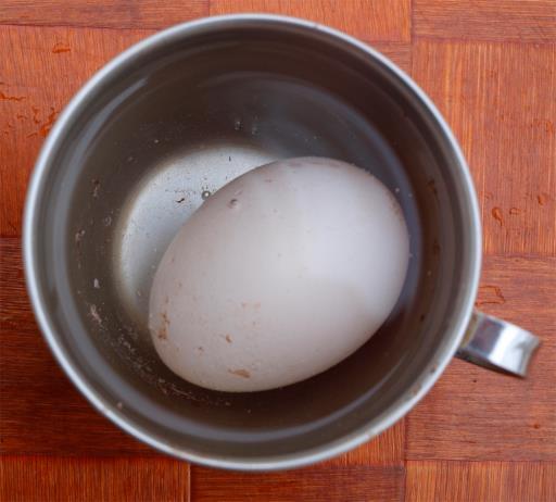 A tojás összenyomható, hiányzik belőle a szilárdságot biztosító