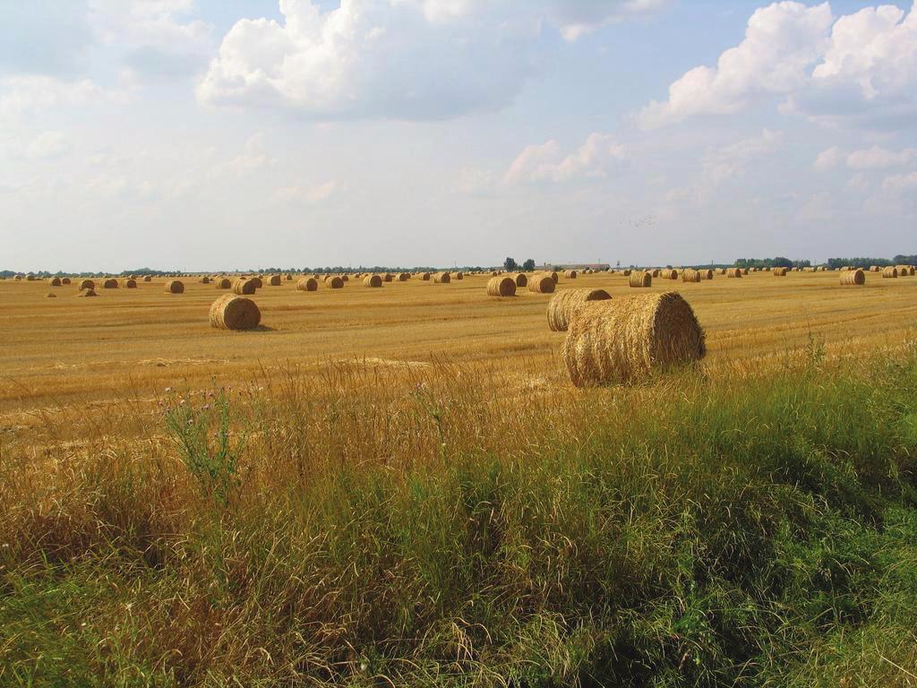 A dögevő vagy ürülékevő állatok és a lebontó baktériumok, gombák az életükhöz az elpusztult élőlények anyagait használják, vagyis ezek az anyagok sem válnak hulladékká.