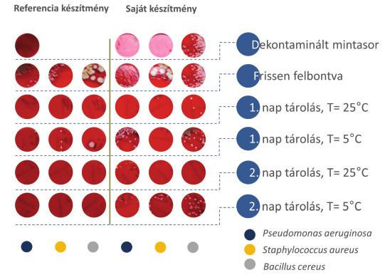 142 Acta Pharmaceutica Hungarica 2015/4. 11]. A kívánt kémhatás biztosítására két (acetát, foszfát, bórsav tartalmú és bórsav, bórax tartalmú) puffer rendszert is megvizsgáltunk.