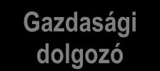 vezető