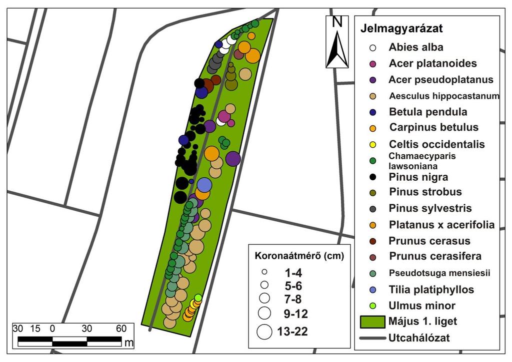 liget követi (93,1 db/ha), a legkisebb fasűrűség pedig a Baross ligetben van (74 db/ha). 2.