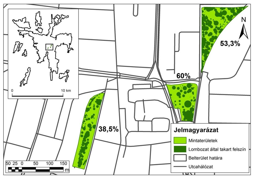 százalékos aránya 100% = az összes faegyed száma az adott közparkon