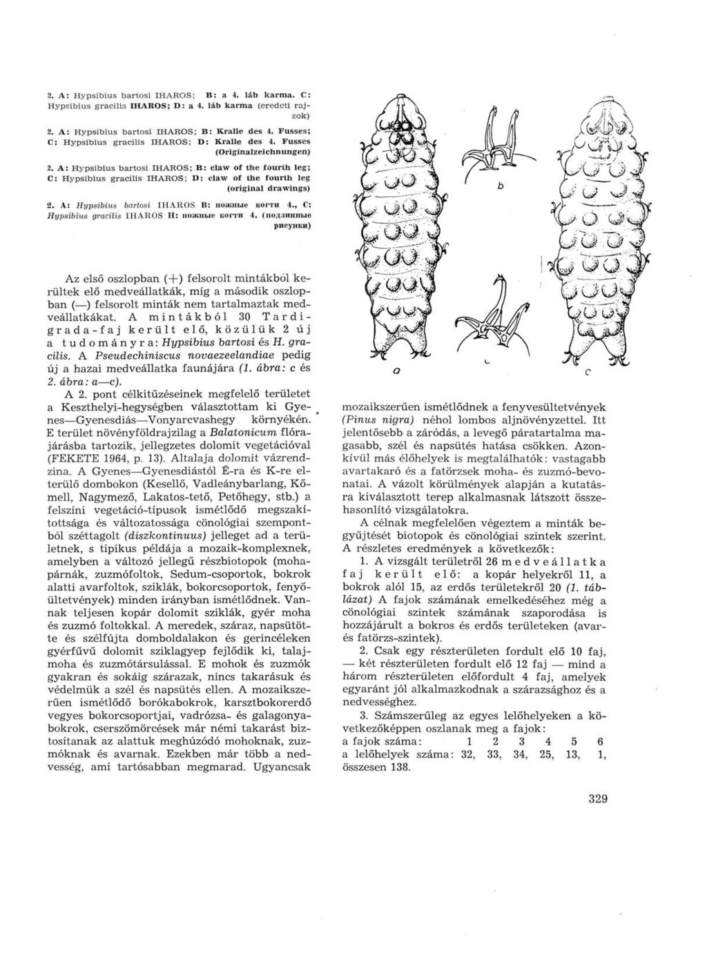 2. A: Hypsibius bartosi IHAROS; В: a 4. láb karma. С: Hypsibius gracilis IHAROS; D: a 4. láb karma (eredeti rajzok) 2. A: Hypsibius bartosi IHAROS; В: Kralle des 4.