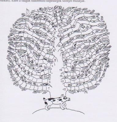 Sindelar az Affolter-i koncepciónak megfelelően egy lombos fa ábrájával szemlélteti a gyermek fejlődésének útját, melyen a fa ágai jelképezik a különböző részképességeket és a feltérképezésükhöz