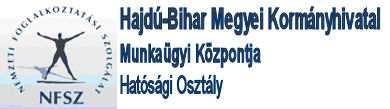 2013. év I. negyedéves munkaerı-gazdálkodási felmérés eredményei MÓDSZERTANI MEGJEGYZÉSEK 1.