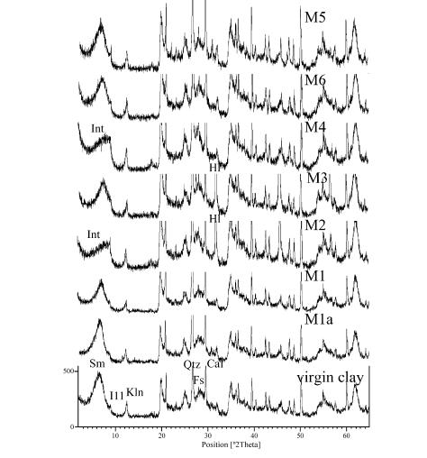 122 141. ábra. Különböző olasz gyógyvizekkel kezelt gyógyiszap röntgen-diffrakciós felvételei (Veniale et al. 2004).