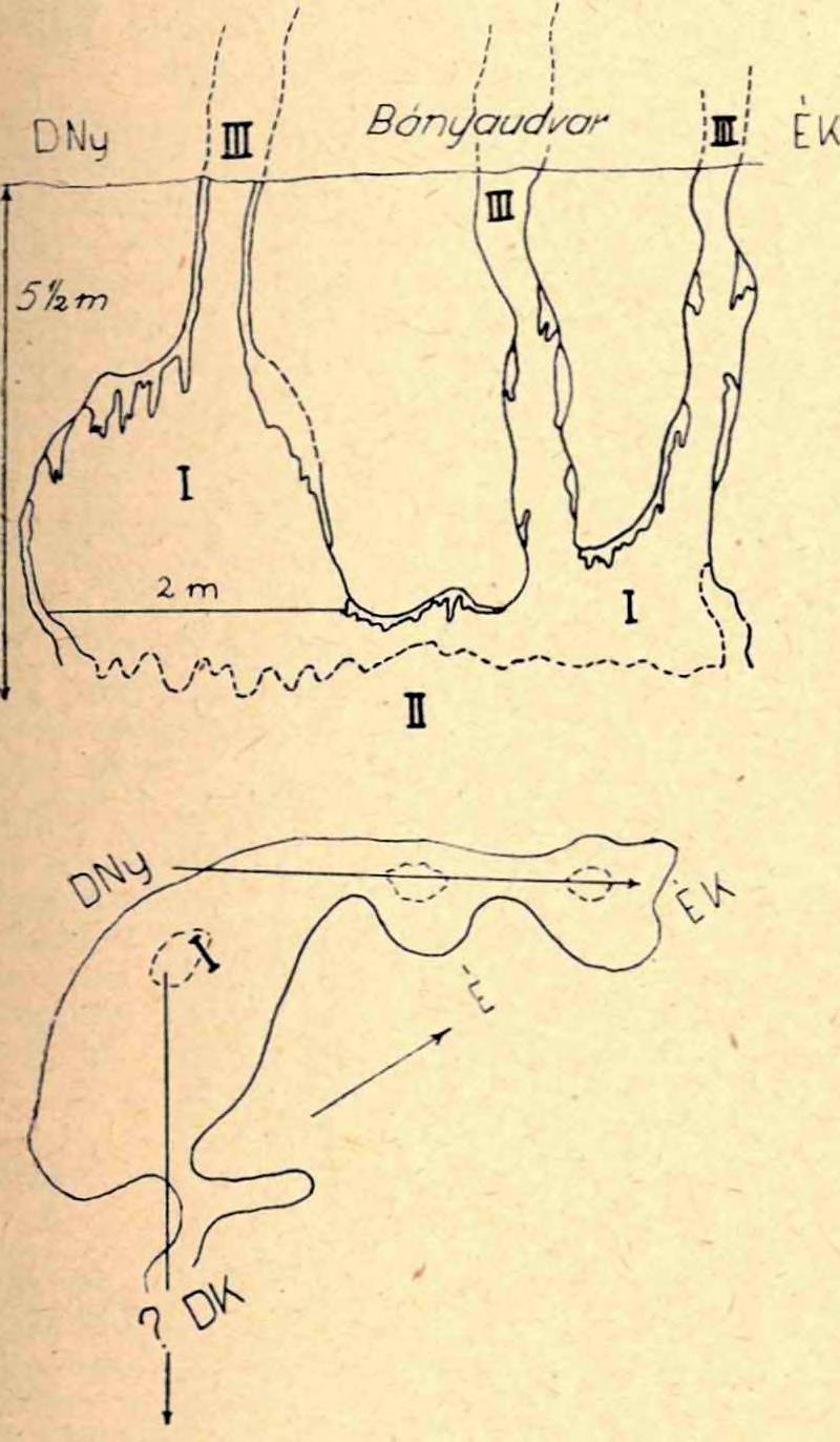 Közi. LVI. köt. Bp. 1924. p. 105 106. 3. Farkas Henrik: Adatok az Abaligeti barlang állatvilágának ismeretéhez. Állattani Közlemények 46. köt. 1-2. fűz. 1957. p. 67-69. 4. Gebhardt Antal: Az Abaligeti-barlang és élővilága.