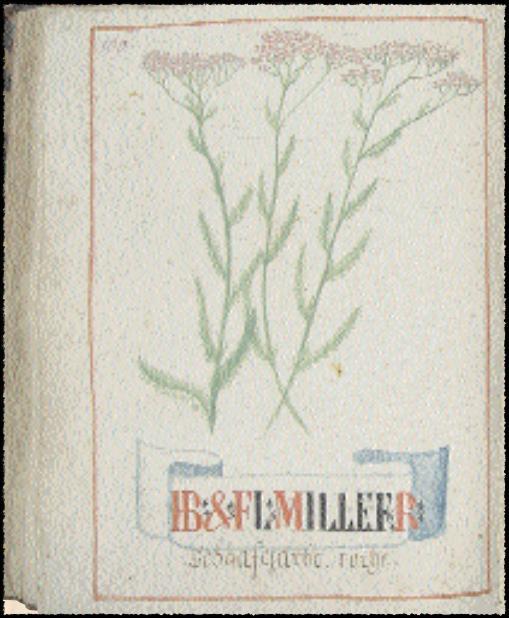 Kreuterbuch -
