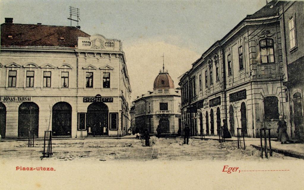 Kígyó