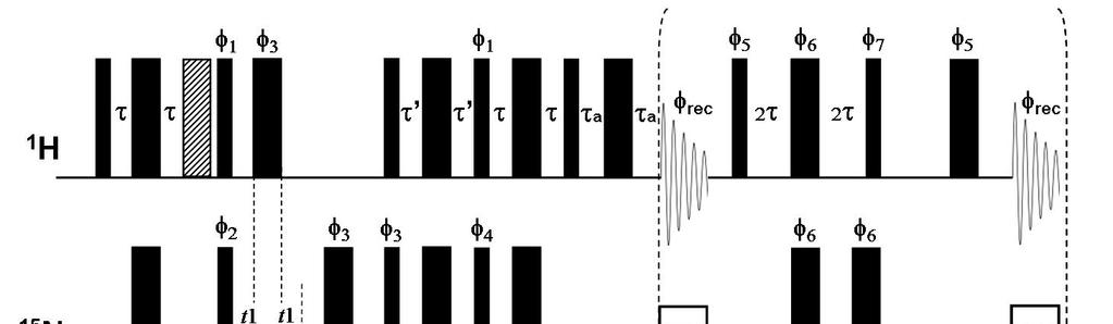 Mágneses magrezonancia (NMR) módszerek továbbfejlesztése szélessávú homonukleáris protonlecsatolás beépítésével akvizíció alatt, valós időben elvégzi.