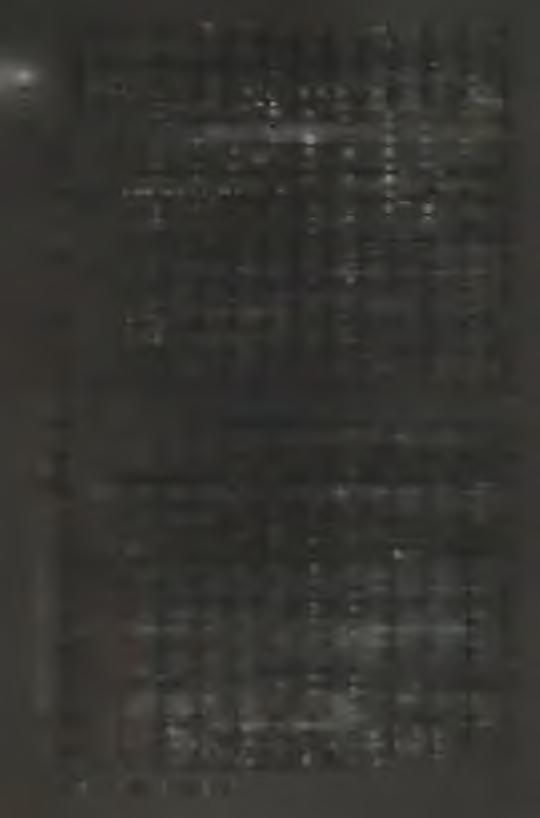 Á S XX
