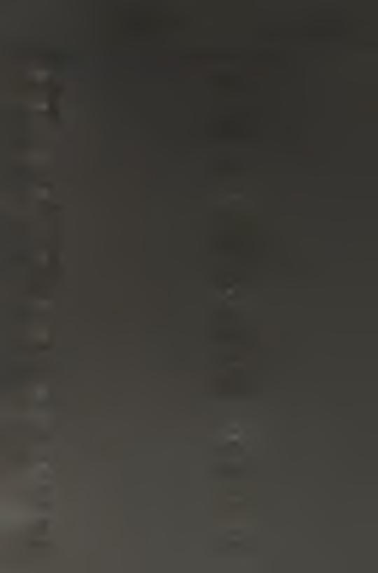 2 4-4 0 2 4 8 0 2 S?