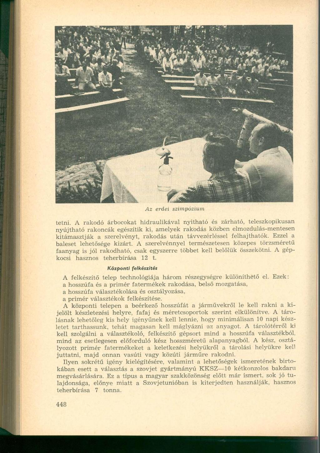 Az erdei szimpózium tetni.