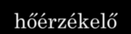 időskorúak egészségvédelme, házi gondozás,