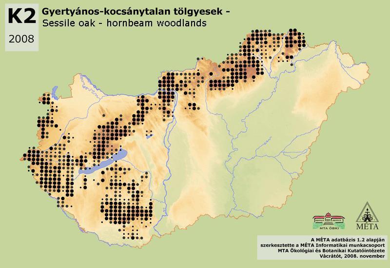 Azonban szívóssága, erős árnytűrése, évenkénti bő termése, kiváló sarjadóképessége, kezdeti gyors