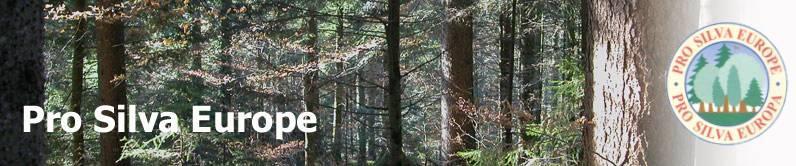 A PRO SILVA a természetes folyamatokra alapozott erdőgazdálkodást szorgalmazó erdészek 1989-ben, Szlovéniában alapított európai szövetsége. Céljuk a folyamatos erdőborítást biztosító erdőgazdálkodás.