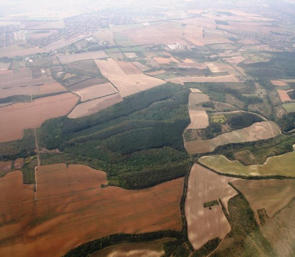 AZ ELLENŐRZÉS TERÜLETE Maglód Város Önkormányzata; MAGLÓD PROJEKT Ingatlanfejlesztő- és Hasznosító Kft. A 2005. június 28-án a Stádium Magyarország Kft.