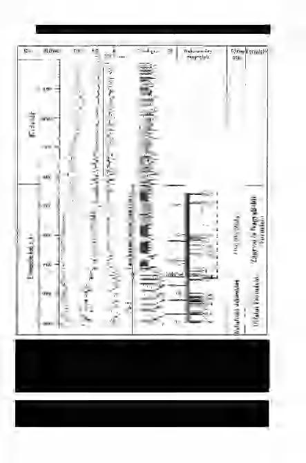 JUHÁSZ Gy. & THAMÓNÉ BOZSÓ E.: AZ alföldi pannóniai s.l. képződmények ásványi összetétele II 443 7. ábra.