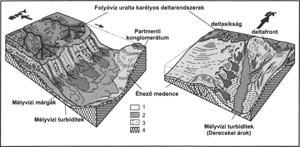 A néhány helyen előforduló szigetek partvonala mentén parti konglomerátumok és homokok képződtek (Békési Formáció).