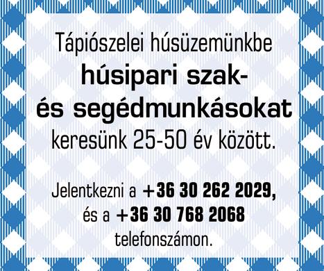 www.dpmsz.hu jó pont tud lenni a HR-eseknél egy csoportos interjú után pedig még inkább komoly segítséget jelenthet neked!