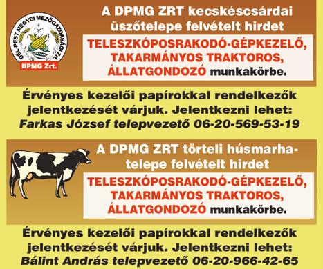 Állásegyeztetés helye és módja: Cegléd, Szolnoki út 33. személyesen. Telefon: +36 20 919 4510 PIZZASZAKÁCSOT keresünk a Red Devilsbe Csemőbe! Bérezés megegyezés szerint!