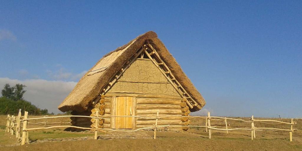 társkereső teszt társkereső állati szerelmeseinek