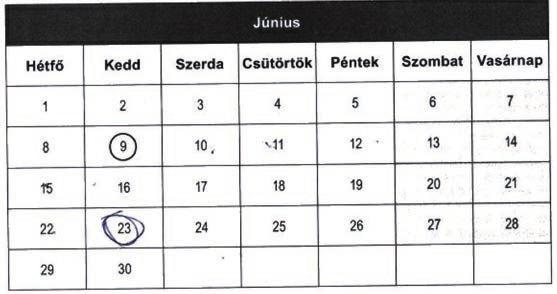 5-ös kód: A tanuló nem írta le, hogy a 10. napon és június 23-át jelölte meg, de más napot nem jelölt meg.