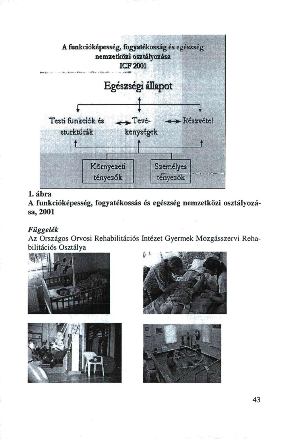 A fimkcióképesség, fogyatékosság és egészség nemzetközi osztályozása ICF2001 Egészségi állapot i I M Testi funkciók, és \ Részvétel ^Tevé- stucktúrák 1"!