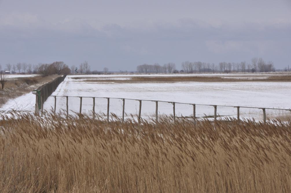Tirják László Széll Antal 1. kép: A Túzokvédelmi Mintaterület kerítése a déli oldalon Picture 1.: The southern part of the fence of the Great Bustard Conservation Site A Túzokvédelmi Mintaterület (1.
