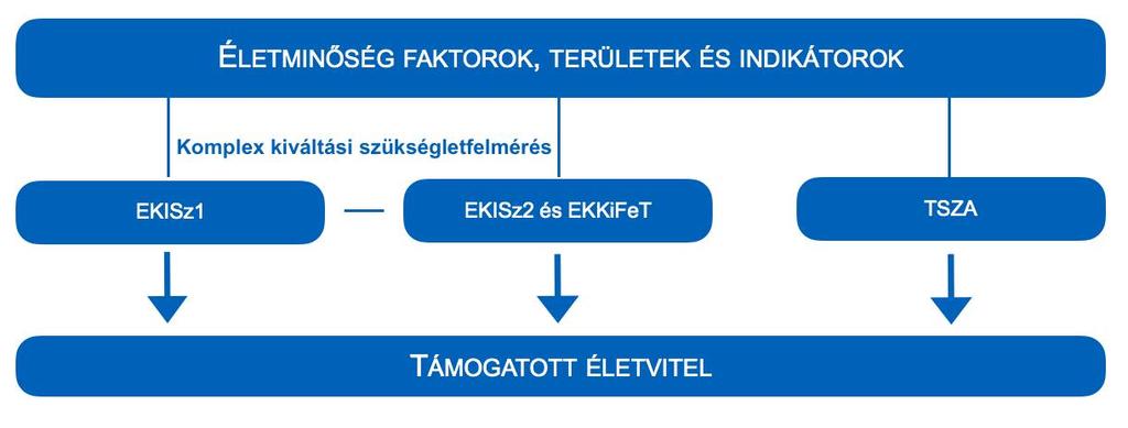 felmérés közös adatbázist generál (Adatrögzítő rendszer 7 ), együttesen alkotják a Komplex kiváltási szükségletfelmérést.