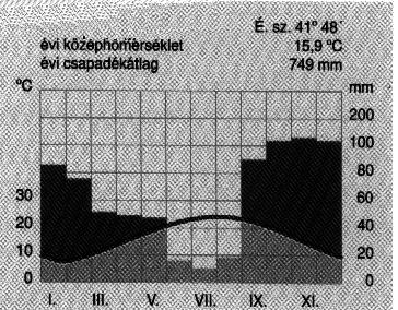 lényegében arról, hogyan tudja alkalmazni elméleti ismereteit a leolvasott adatok magyarázata során. Az ábratípus jellemzője: Olyan rajz, amely grafikusan ábrázolja az adatokat.