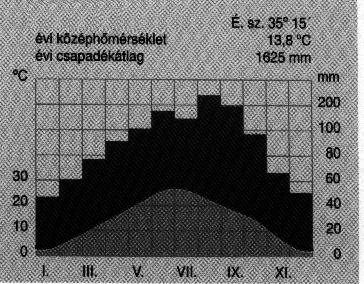 Általában két csoportjuk van: vagy tényleges adatokat mutatnak (pl. grafikon, oszlopdiagram), vagy az adatok egymás közötti arányának leolvasására alkalmasak (pl. kördiagram).