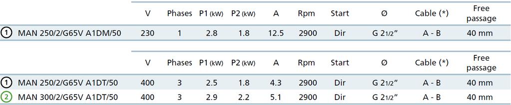 Függőleges, GAS 2 ½ menetes nyomóoldali kialakítás,