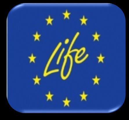 LIFE ÁTFOGÓ CÉLKITŰZÉSEK Hozzájárul: Az EU