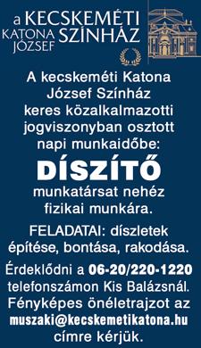 igazolás megléte, GKI igazolvány, digitális gépjárművezetői kártya. Előny: ADR igazolvány. Amit kínálunk: hosszútávú munkalehetőség, versenyképes juttatási csomag, cafetéria.